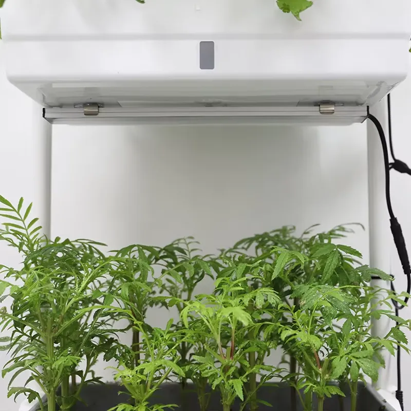 Rak Tanaman Vertikal 3 Tingkat - Self-Watering Planter ulasan dan harga