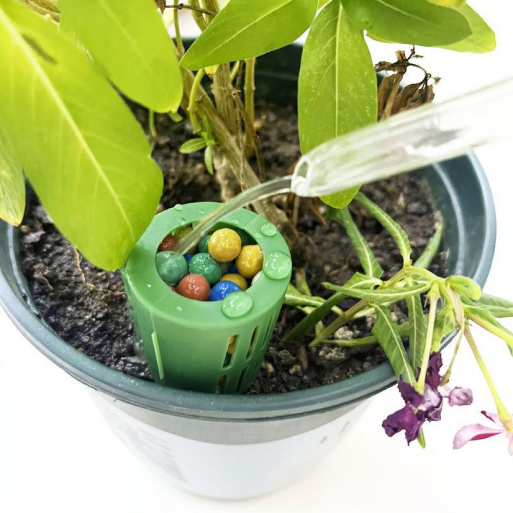 Kotak Pupuk untuk Tanaman Bons - Gardening Tools Essential ulasan dan harga