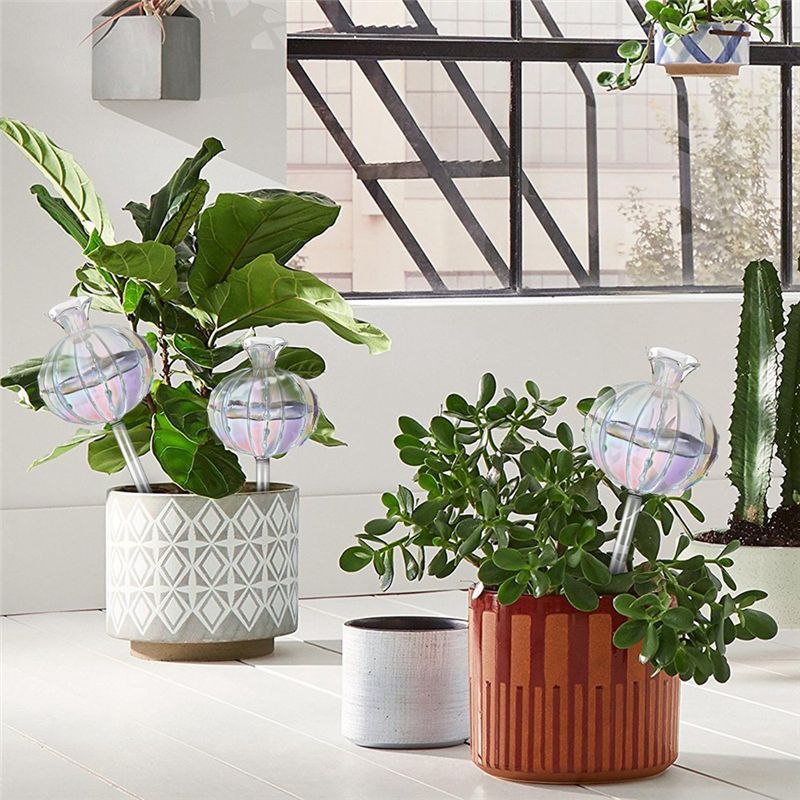 AA94 – Alat Penyiram Tanaman,  - Self-Watering Planter ulasan dan harga